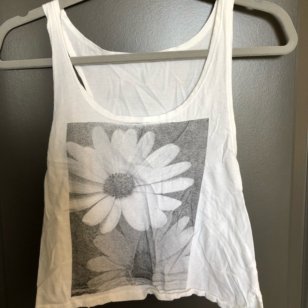 Brandy Melville Crop Top